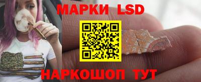 спиды Камышлов