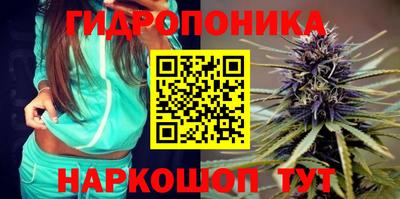 a pvp Канаш