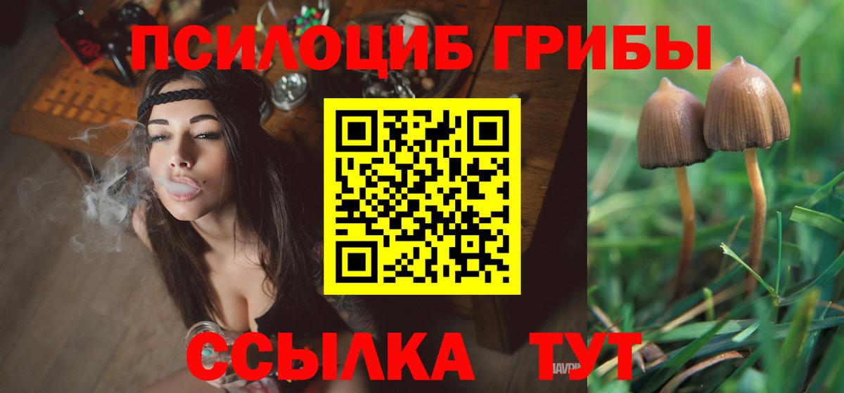 где купить наркотик  Вход с VPN  Майский  Галлюциногенные грибы Psilocybe 